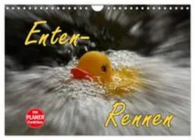 CALVENDO / Sobottka |  Enten-Rennen (Wandkalender 2026 DIN A4 quer), CALVENDO Monatskalender | Sonstiges |  Sack Fachmedien