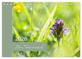 Strudl / CALVENDO |  Die Natur hautnah (Tischkalender 2026 DIN A5 quer), CALVENDO Monatskalender | Sonstiges |  Sack Fachmedien