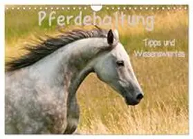 Bölts / CALVENDO |  Pferdehaltung Tipps und Wissenswertes (Wandkalender 2026 DIN A4 quer), CALVENDO Monatskalender | Sonstiges |  Sack Fachmedien