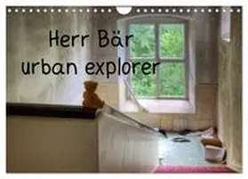 Buchmann / CALVENDO |  Herr Bär urban explorer (Wandkalender 2026 DIN A4 quer), CALVENDO Monatskalender | Sonstiges |  Sack Fachmedien