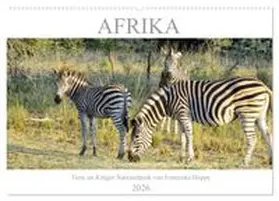 CALVENDO / Hoppe |  Afrika - Tiere im Krüger Nationalpark (Wandkalender 2026 DIN A2 quer), CALVENDO Monatskalender | Sonstiges |  Sack Fachmedien