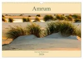 Wolff / CALVENDO |  Amrum Insel am Wattenmeer (Wandkalender 2026 DIN A3 quer), CALVENDO Monatskalender | Sonstiges |  Sack Fachmedien