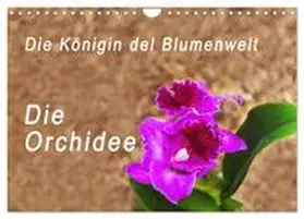 Rosenthal / CALVENDO |  Die Königin der Blumenwelt, die Orchidee (Wandkalender 2026 DIN A4 quer), CALVENDO Monatskalender | Sonstiges |  Sack Fachmedien