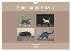 Busch / CALVENDO |  Flensburger Katzen (Wandkalender 2026 DIN A4 quer), CALVENDO Monatskalender | Sonstiges |  Sack Fachmedien