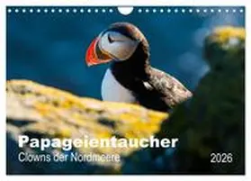 Wagner / CALVENDO |  PAPAGEIENTAUCHER - Clowns der Nordmeere (Wandkalender 2026 DIN A4 quer), CALVENDO Monatskalender | Sonstiges |  Sack Fachmedien