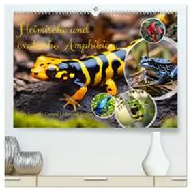Kleemann / CALVENDO |  Heimische und exotische Amphibien (hochwertiger Premium Wandkalender 2026 DIN A2 quer), Kunstdruck in Hochglanz | Sonstiges |  Sack Fachmedien