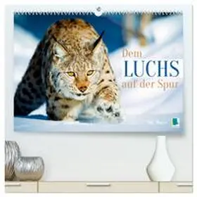 CALVENDO |  Dem Luchs auf der Spur (hochwertiger Premium Wandkalender 2026 DIN A2 quer), Kunstdruck in Hochglanz | Sonstiges |  Sack Fachmedien