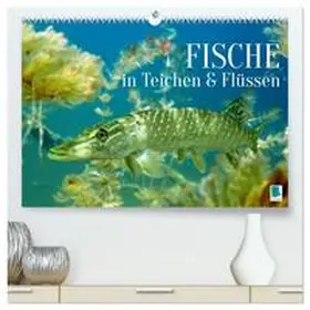 CALVENDO |  Fische in Teichen und Flüssen (hochwertiger Premium Wandkalender 2026 DIN A2 quer), Kunstdruck in Hochglanz | Sonstiges |  Sack Fachmedien