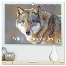 CALVENDO |  Wildtiere des Waldes: Hier wird der Mythos Wald lebendig (hochwertiger Premium Wandkalender 2026 DIN A2 quer), Kunstdruck in Hochglanz | Sonstiges |  Sack Fachmedien