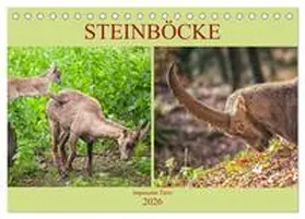 Brunner-Klaus / CALVENDO |  Steinböcke - imposante Tiere (Tischkalender 2026 DIN A5 quer), CALVENDO Monatskalender | Sonstiges |  Sack Fachmedien