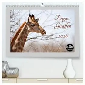 und Holger Karius / CALVENDO |  Twigas - Giraffen (hochwertiger Premium Wandkalender 2026 DIN A2 quer), Kunstdruck in Hochglanz | Sonstiges |  Sack Fachmedien