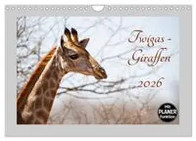 und Holger Karius / CALVENDO |  Twigas - Giraffen (Wandkalender 2026 DIN A4 quer), CALVENDO Monatskalender | Sonstiges |  Sack Fachmedien