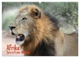 CALVENDO / Stanzer |  Afrika. Tiere in freier Wildbahn (Wandkalender 2026 DIN A2 quer), CALVENDO Monatskalender | Sonstiges |  Sack Fachmedien