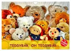CALVENDO / Chrystal |  TEDDYBÄR, OH TEDDYBÄR... (Wandkalender 2026 DIN A4 quer), CALVENDO Monatskalender | Sonstiges |  Sack Fachmedien