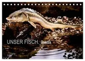 morgenstern / CALVENDO |  UNSER FISCH. SÜßWASSER. (Tischkalender 2026 DIN A5 quer), CALVENDO Monatskalender | Sonstiges |  Sack Fachmedien
