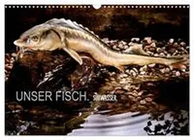 morgenstern / CALVENDO |  UNSER FISCH. SÜßWASSER. (Wandkalender 2026 DIN A3 quer), CALVENDO Monatskalender | Sonstiges |  Sack Fachmedien