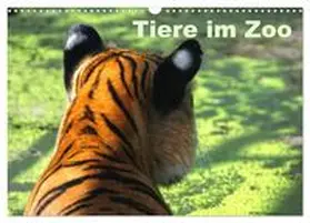 Kügler / CALVENDO |  Tiere im Zoo (Wandkalender 2026 DIN A3 quer), CALVENDO Monatskalender | Sonstiges |  Sack Fachmedien