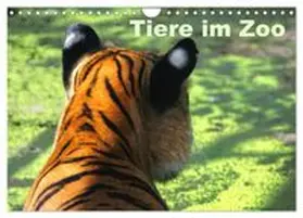 CALVENDO / Kügler |  Tiere im Zoo (Wandkalender 2026 DIN A4 quer), CALVENDO Monatskalender | Sonstiges |  Sack Fachmedien