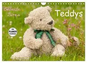 Bölts / CALVENDO |  Geliebte Bären - Teddys (Wandkalender 2026 DIN A4 quer), CALVENDO Monatskalender | Sonstiges |  Sack Fachmedien