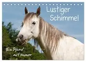 Bölts / CALVENDO |  Lustiger Schimmel - ein Pferd mit Humor (Tischkalender 2026 DIN A5 quer), CALVENDO Monatskalender | Sonstiges |  Sack Fachmedien