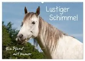 Bölts / CALVENDO |  Lustiger Schimmel - ein Pferd mit Humor (Wandkalender 2026 DIN A2 quer), CALVENDO Monatskalender | Sonstiges |  Sack Fachmedien