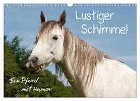 Bölts / CALVENDO |  Lustiger Schimmel - ein Pferd mit Humor (Wandkalender 2026 DIN A3 quer), CALVENDO Monatskalender | Sonstiges |  Sack Fachmedien