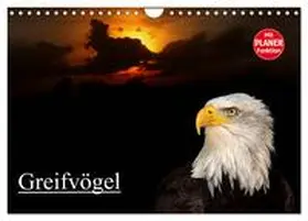 Klatt / CALVENDO |  Greifvögel (Wandkalender 2026 DIN A4 quer), CALVENDO Monatskalender | Sonstiges |  Sack Fachmedien