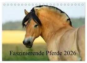Ludwig / CALVENDO |  Faszinierende Pferde 2026 (Tischkalender 2026 DIN A5 quer), CALVENDO Monatskalender | Sonstiges |  Sack Fachmedien