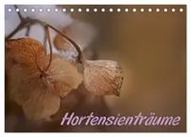 - Petra Voß / CALVENDO |  Hortensienträume (Tischkalender 2026 DIN A5 quer), CALVENDO Monatskalender | Sonstiges |  Sack Fachmedien