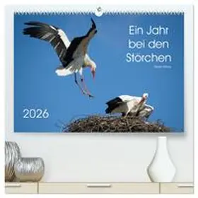 Bittner / CALVENDO |  Ein Jahr bei den Störchen (hochwertiger Premium Wandkalender 2026 DIN A2 quer), Kunstdruck in Hochglanz | Sonstiges |  Sack Fachmedien