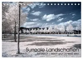 CALVENDO / Buchmann |  Surreale Landschaften. INFRARROT - Wenn grün zu weiß wird (Tischkalender 2026 DIN A5 quer), CALVENDO Monatskalender | Sonstiges |  Sack Fachmedien