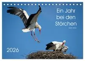 Bittner / CALVENDO |  Ein Jahr bei den Störchen (Tischkalender 2026 DIN A5 quer), CALVENDO Monatskalender | Sonstiges |  Sack Fachmedien