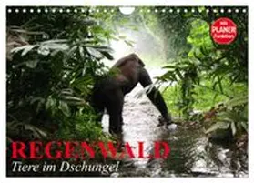CALVENDO / Stanzer |  Regenwald. Tiere im Dschungel (Wandkalender 2026 DIN A4 quer), CALVENDO Monatskalender | Sonstiges |  Sack Fachmedien