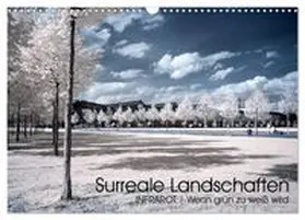 CALVENDO / Buchmann |  Surreale Landschaften. INFRARROT - Wenn grün zu weiß wird (Wandkalender 2026 DIN A3 quer), CALVENDO Monatskalender | Sonstiges |  Sack Fachmedien