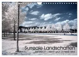 CALVENDO / Buchmann |  Surreale Landschaften. INFRARROT - Wenn grün zu weiß wird (Wandkalender 2026 DIN A4 quer), CALVENDO Monatskalender | Sonstiges |  Sack Fachmedien