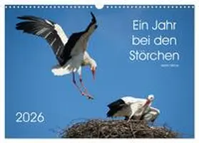 Bittner / CALVENDO |  Ein Jahr bei den Störchen (Wandkalender 2026 DIN A3 quer), CALVENDO Monatskalender | Sonstiges |  Sack Fachmedien