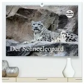 Klatt / CALVENDO |  Der Schneeleopard (hochwertiger Premium Wandkalender 2026 DIN A2 quer), Kunstdruck in Hochglanz | Sonstiges |  Sack Fachmedien