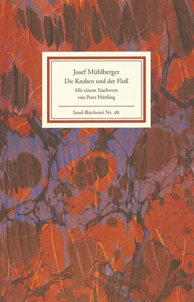 Mühlberger |  Die Knaben und der Fluß | Buch |  Sack Fachmedien