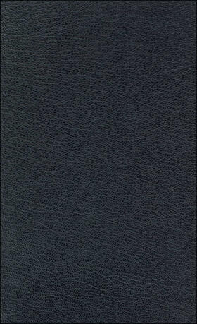 Kaschnitz / Miller / Büttrich | Gesammelte Werke in sieben Bänden, Band 2 | Buch | 978-3-458-14979-8 | sack.de