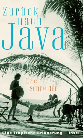 Schneider |  Zurück nach Java | Buch |  Sack Fachmedien