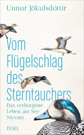 Jökulsdóttir |  Vom Flügelschlag des Sterntauchers | Buch |  Sack Fachmedien