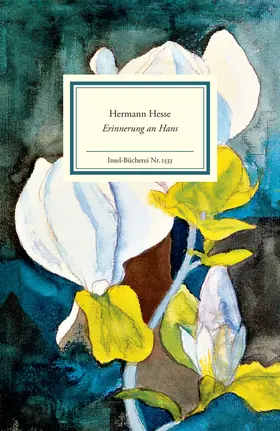 Hesse |  Erinnerung an Hans | Buch |  Sack Fachmedien