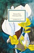 Hesse |  Erinnerung an Hans | Buch |  Sack Fachmedien