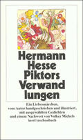 Hesse |  Piktors Verwandlungen | Buch |  Sack Fachmedien