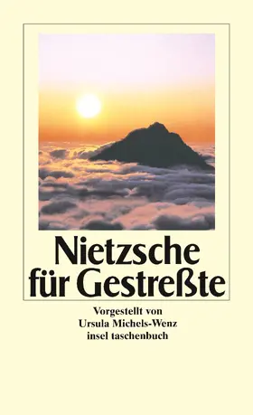 Nietzsche / Michels-Wenz |  Nietzsche für Gestreßte | Buch |  Sack Fachmedien