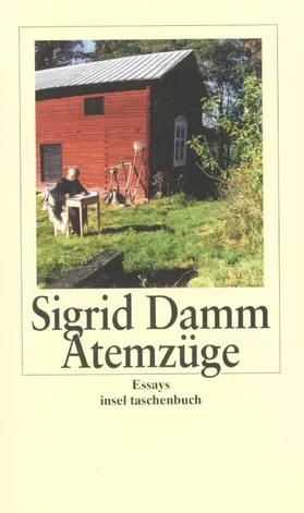 Damm |  Atemzüge | Buch |  Sack Fachmedien