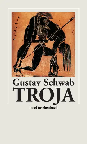 Schwab |  Troja | Buch |  Sack Fachmedien