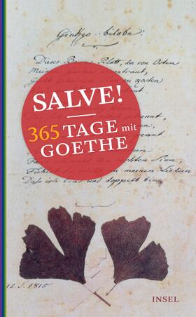 Goethe / Seng |  Salve! 365 Tage mit Goethe | Buch |  Sack Fachmedien