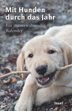 Dammel |  Mit Hunden durch das Jahr | Buch |  Sack Fachmedien
