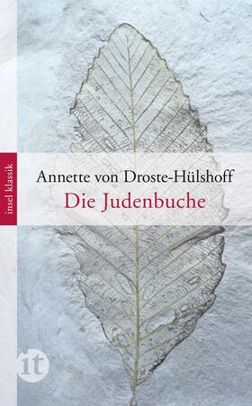 Droste-Hülshoff |  Die Judenbuche | Buch |  Sack Fachmedien